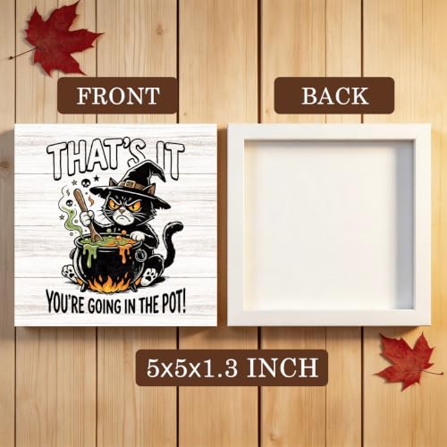 Halloween Witch Cat Sign Indoor Decoration Pot Variation of THIS Listing