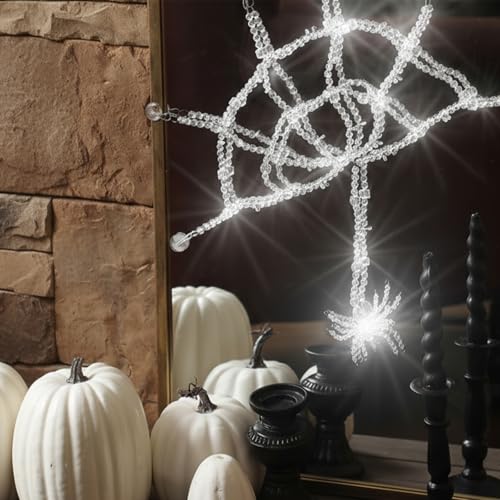 Large Halloween Crystal Spider Web Door Decoration with Spider Accent