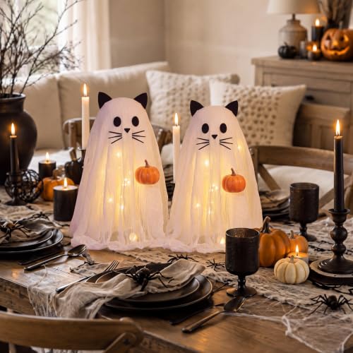 Halloween Ghost Cat Light Set with DIY Crafts & Decorations - Variation of Ghost Cat