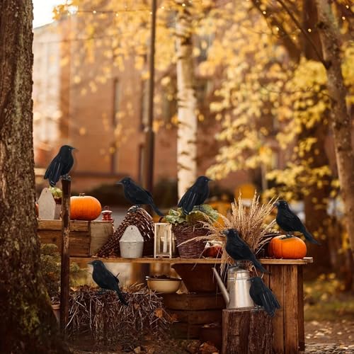 Realistic Black Feathered Crow Decoration for Halloween Home & Garden