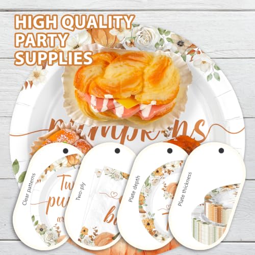 168-Piece Fall Pumpkin Baby Shower Party Supplies Set for Twins