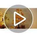 2 Pack 24-Inch Prelit Fall Eucalyptus Trees with Pumpkin LED Lights - Battery Operated Autumn Tabletop Decor