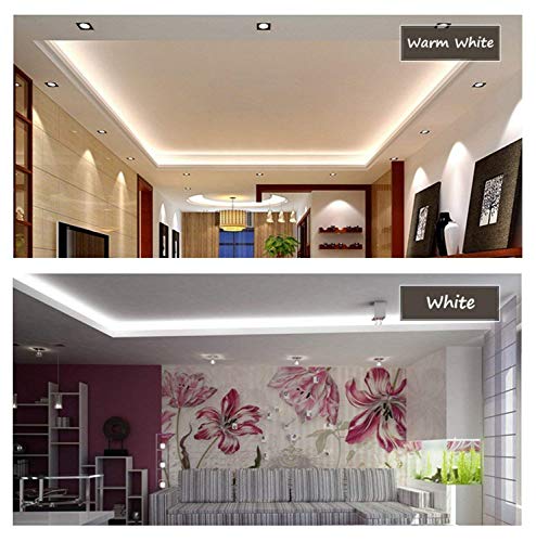 65.6 ft Waterproof Warm White LED Strip Light with Remote - Flexible AC 110-120V Rope Light