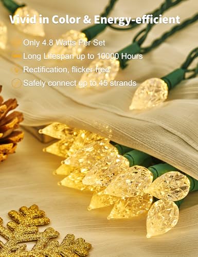 Outdoor Christmas String Lights 25ft 50 LEDs Faceted C6 Warm White