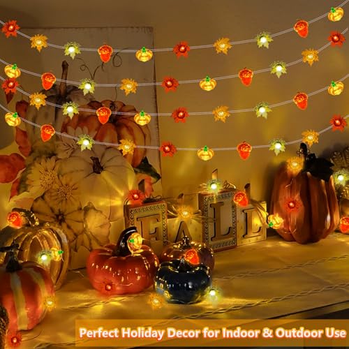 Fall String Lights with 50 LEDs, Battery Operated Halloween & Thanksgiving Decor