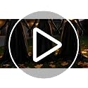 5 Ft Halloween Witch Decorations Set of 3 Light Up Holding Hands Outdoor Yard Garden Haunted House