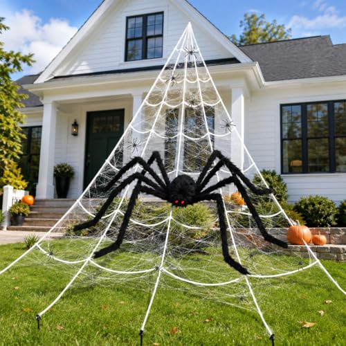 Halloween Decorations Set with 4.9 Ft Spider & 16.4 Ft Web - Yard & Party Decor
