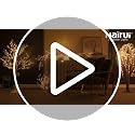 White Lighted Twig Tree 4FT with Fairy Lights for Holiday Decor - Indoor Outdoor