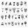 Skeleton Spider Halloween Tattoos - Scary Skull & Web Temporary Body Art with Variation