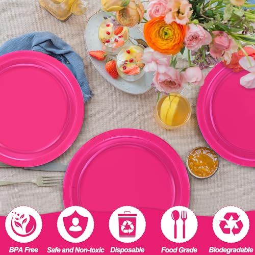 Pink Paper Plates 9 Inch - Fuchsia Disposable Tableware Set - Variation Cerise