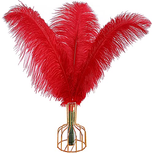 Red Ostrich Feathers 14-16 Inch Bulk 12 Pieces for Wedding Party Decor