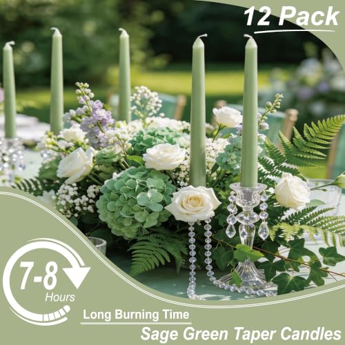 12-Pack Sage Green Taper Candles - 10 Inch Dripless Unscented Long Burn Time