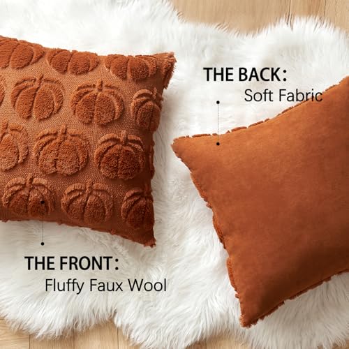MIULEE Fall Pumpkin Pillow Covers 18x18 Dark Rust Set of 2 - Autumn Decor