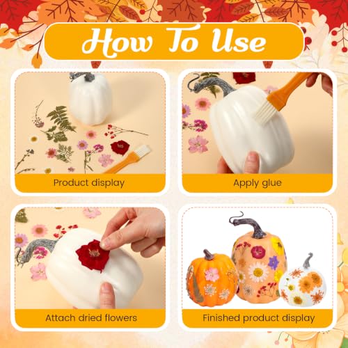 White Orange Foam Pumpkin DIY Kit with Dried Flowers - 12 Pumpkins & Accessories