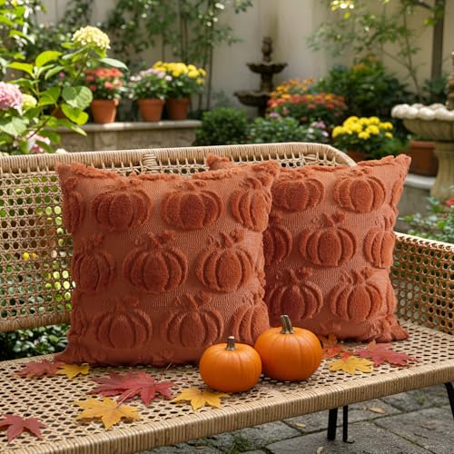 Rust Fall Pumpkin Throw Pillow Covers 18x18 Inch Set of 2 - Autumn Home Decor
