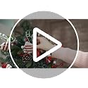 Set of 6 Christmas Candy Cane Tree Picks - Holiday Decor, Red Green White Stripes
