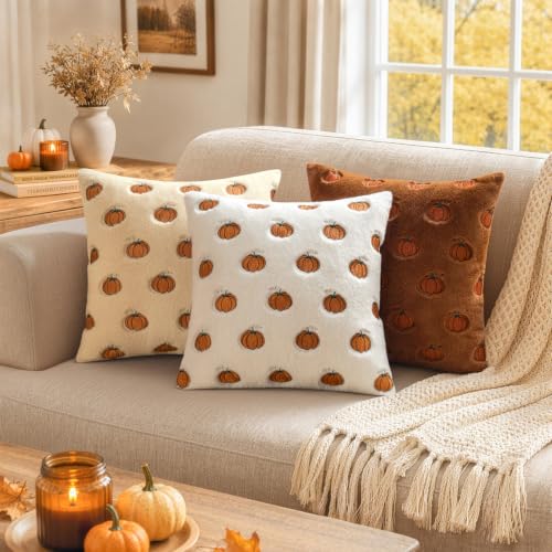 MIULEE Fall Pumpkin Embroidered Pillow Covers 18x18 - Rust & White, Pack of 2