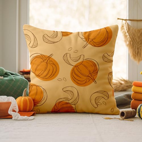 Fall Pumpkin Pillow Cover 18x18 - Orange Farmhouse Decor, 2-Pack, Variation Fall-10