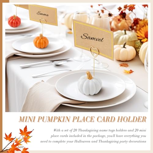 Pumpkin Card Holders Set of 8 - White, Orange, Dark Orange Thanksgiving Decor