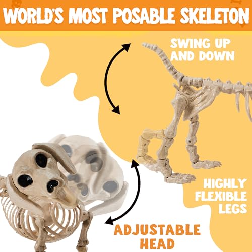24-Inch Posable Dog Skeleton Halloween Decoration - Indoor Outdoor Spooky Prop