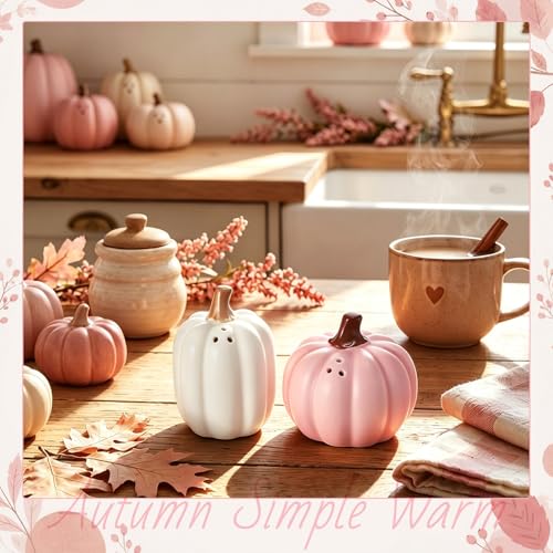 Pink White Pumpkin Salt and Pepper Shaker Set - Fall Halloween Kitchen Decor - Variation of Pink & White