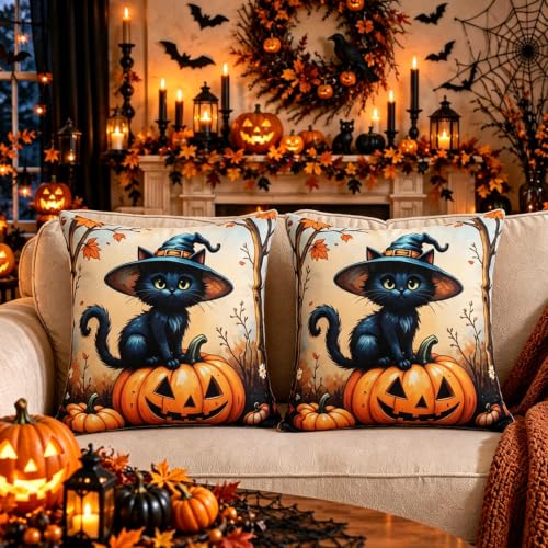 Wizard Cat Halloween Pillow Covers 16x16 Set of 2 - Black Cat Pumpkin Decor