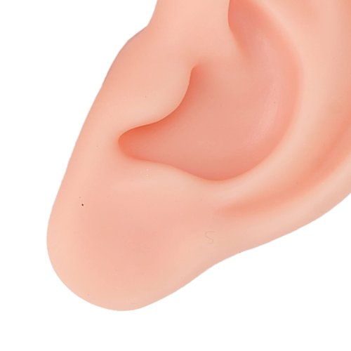 Dioche 1 Pair Silicone Ear Model Piercing Practice Model Silicone Ear Model Ear Body Part Kit for Earrings Display Ear Piercing Exercise (Light Skin Color)