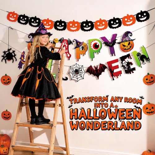 Halloween Party Decorations Set - 19 Pieces for Spooky Celebration