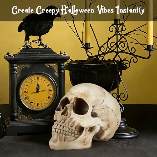 Realistic Resin Skull Decoration for Halloween & Home Decor - Gothic Skeleton Head Statue