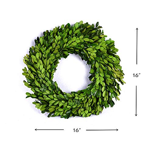 16 Inch Preserved Boxwood Wreath - Indoor Home Decor for Christmas & All Seasons - Green