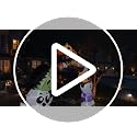 8FT Halloween Pumpkin Inflatable Archway with LED Lights for Outdoor Yard Decor