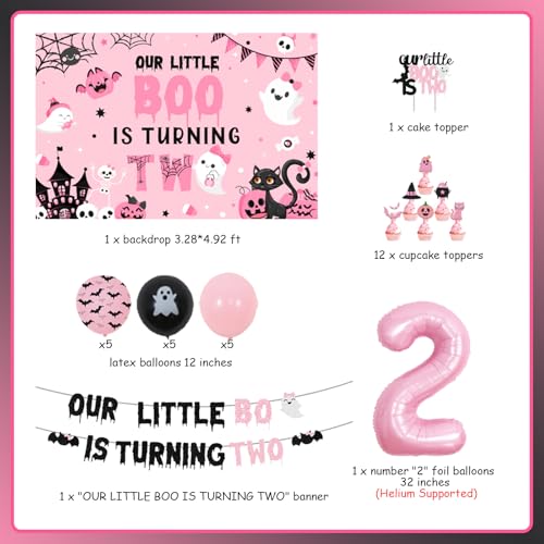 Halloween Girls 2nd Birthday Party Decorations Set with Balloons & Backdrop