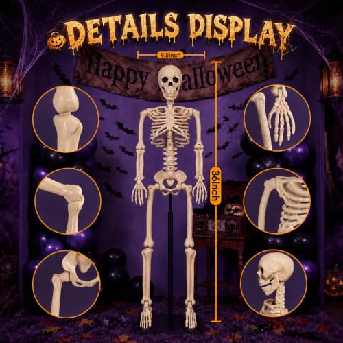White Halloween Skeleton Decorations - 36 Inch Human Bones with Movable Joints - Haunted House, Lawn, Graveyard Props