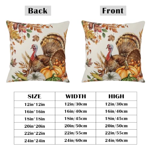 Thanksgiving Fall Turkey Outdoor Decorative Pillow Covers 18x18 Pack of 2 - Double-Sided Print