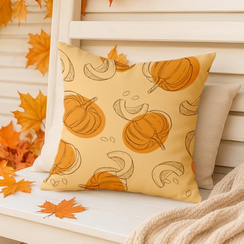 Fall Pumpkin Pillow Cover 18x18 - Orange Farmhouse Decor, 2-Pack, Variation Fall-10