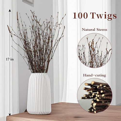 100Pcs 17 Inch Natural Birch Branches for Rustic Decor Wreath Making Crafts & DIY