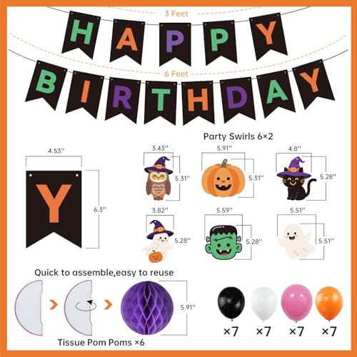 Halloween Birthday Party Decorations Set with Banner Balloons & More