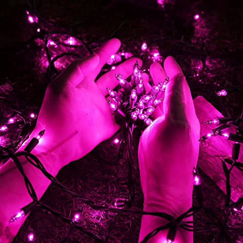 Purple Halloween String Lights 75ft 300 Mini Bulbs Incandescent Indoor Outdoor Decoration - Variation of Purple / 75ft