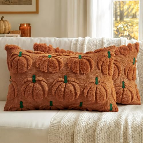 Fall Pumpkin Pillow Covers 12x20 Inch Set of 2 Dark Rust Green Stem Autumn Decor