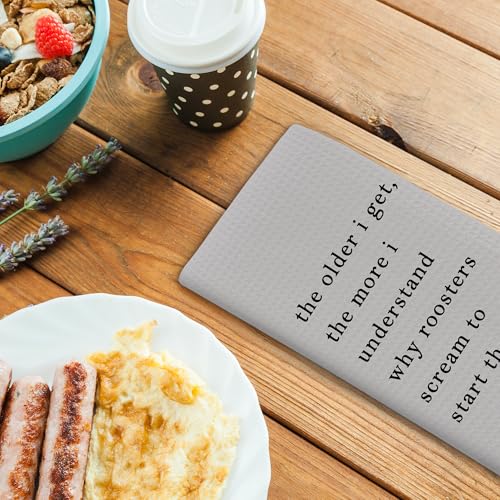 Funny Sarcastic Kitchen Towels - Hand Tea Dish Towel with Saying, Gray, 16x24, Variation: Funny-23