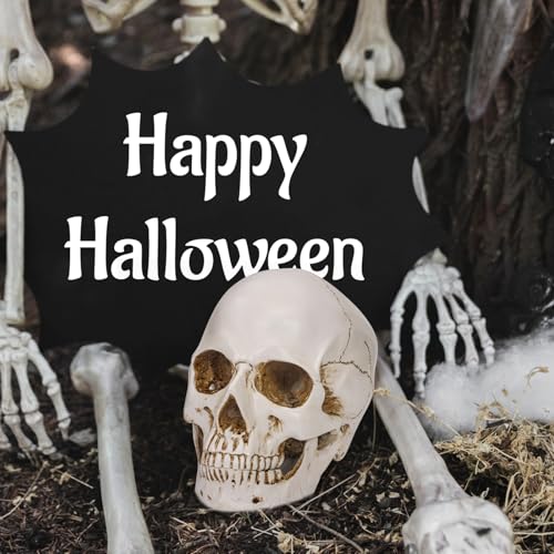 White Resin Skull Sculpture - Life Size Halloween Decor & Artistic Display - Variation of THIS listing