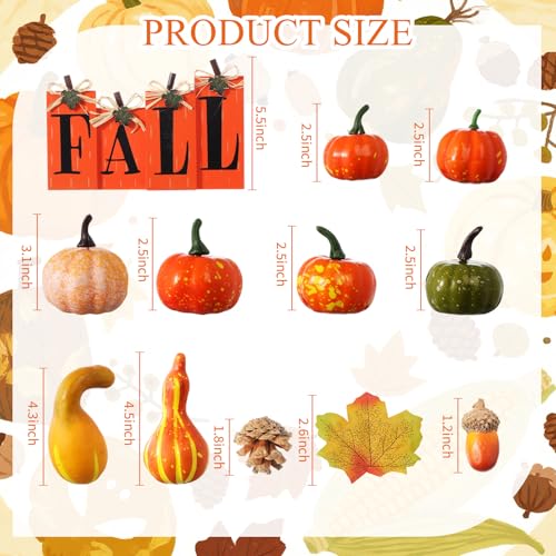 Fall Pumpkin Harvest Decor Set with 50 Artificial Gourds & 4 Wooden Signs