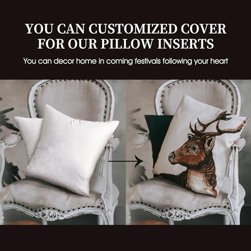 Euro Throw Pillow Set 2 Pack - 26x26 Inch Medium Firm Cotton Cushions