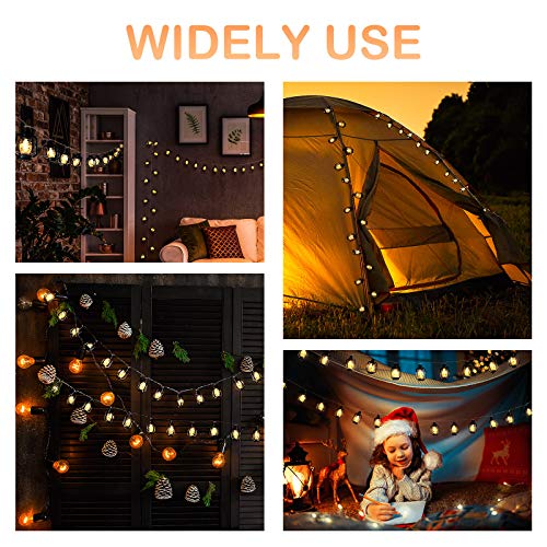 Camping Lantern String Light with 30 LEDs Black - Battery & USB Operated, Perfect for Camping & Holiday Decor