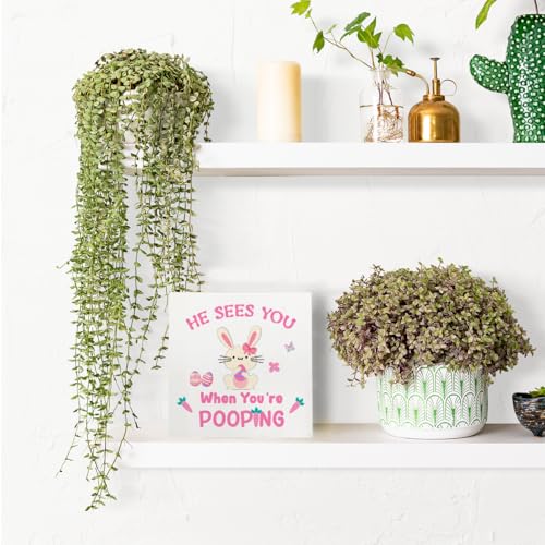 Pooping Bunny Wooden Sign - Easter Farmhouse Bathroom Decor, Rustic Wood Plaque - Pooping 3 Variant