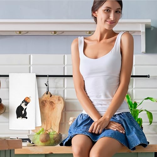 Fall Tuxedo Cat Pumpkin Hand Dish Towels Set of 2 - Halloween Kitchen Decor