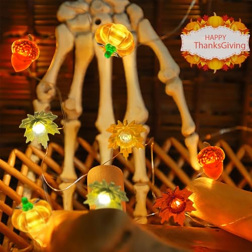 Fall String Lights with 50 LEDs, Battery Operated Halloween & Thanksgiving Decor