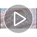Lavender Sequin Table Runner Set - 6 Pack, 12x72 Inches for Weddings & Parties - Variation of THIS listing