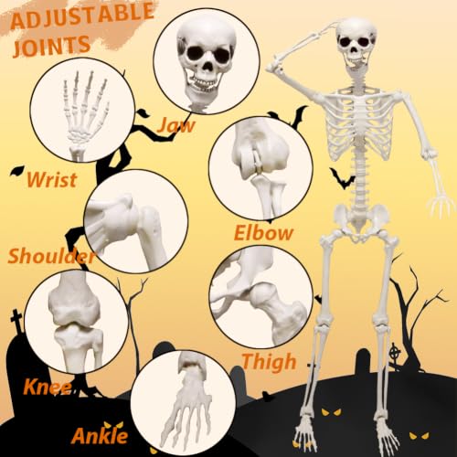 5.4ft Halloween Full Size Skeleton with Dog and Cat — Haunted Party Decor