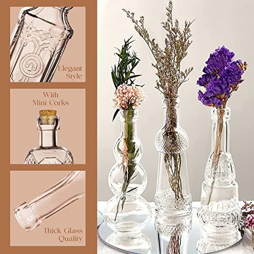 Mini Glass Bottles with Corks 12-Pack Assorted Shapes for Crafts and Decor